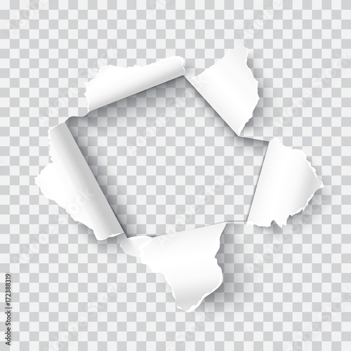 Torn paper realistic vector illustration