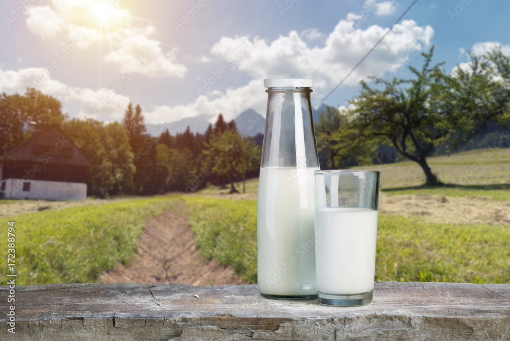 Milk glass and milk jug on the chamomile meadow pasture background in the Alps mountains, Switzerland Milk glass and milk jug on the chamomile meadow pasture background in the Alps mountains, Switzerland