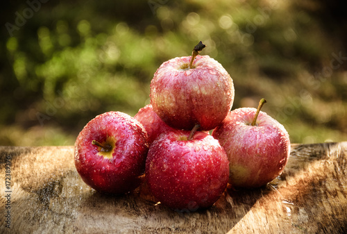 Red apples in the garden on the table