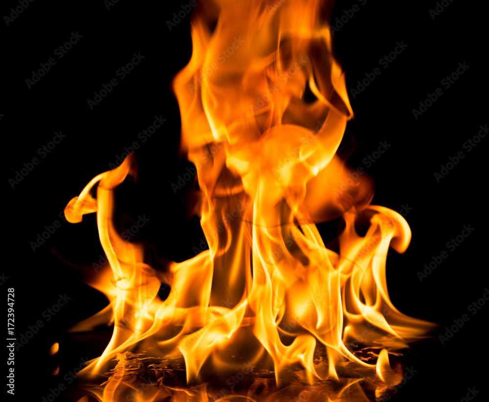 Fototapeta premium Fire flames