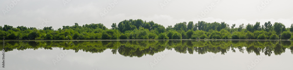 Panorama of perfect reflection of trees in lake, central wetlands of the Gambia, West Africa - obrazy, fototapety, plakaty 
