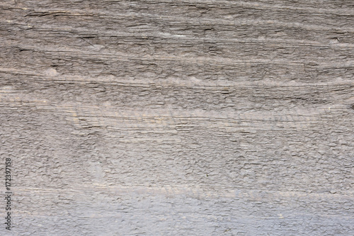 Wallpaper Mural pine wood background Torontodigital.ca