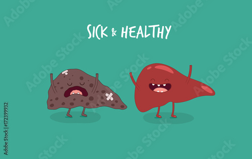 Sick and healthy liver. Vector illustrations.