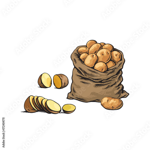 vector sketch cartoon ripe raw peeled yellow sliced potato and potato bag set . Isolated illustration on a white background. Vegetable fresh natural product, healthy lifestyle, eating concept