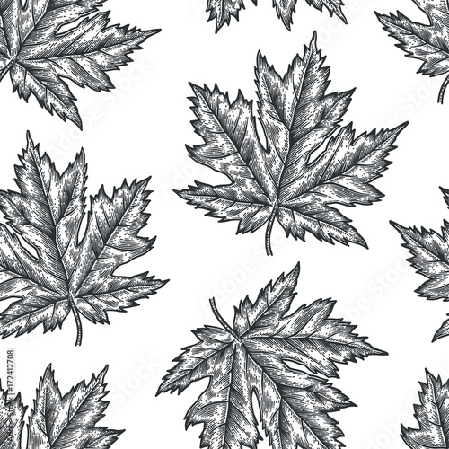 Engraving seamless pattern of maple leaves and seeds