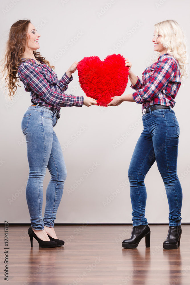 adult daughter and mother with heart love sign adult daughter and mother with heart love sign