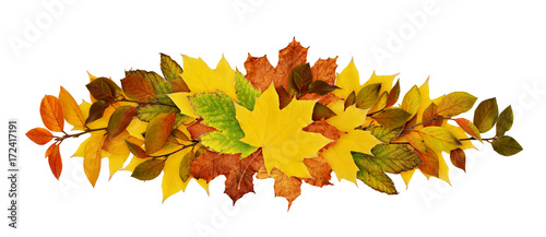 Autumn leaves in a line arr...