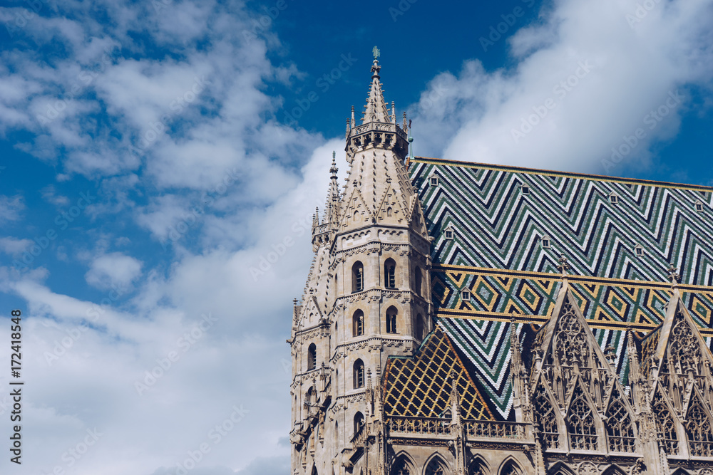 Obraz premium St. Stephan cathedral in Vienna, Austria