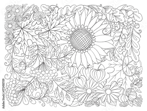 Composition with autumn flowers, leaves and plants.