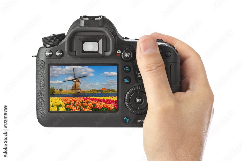 Camera and Windmills and flowers in Netherlands (my photo) Camera and Windmills and flowers in Netherlands (my photo)