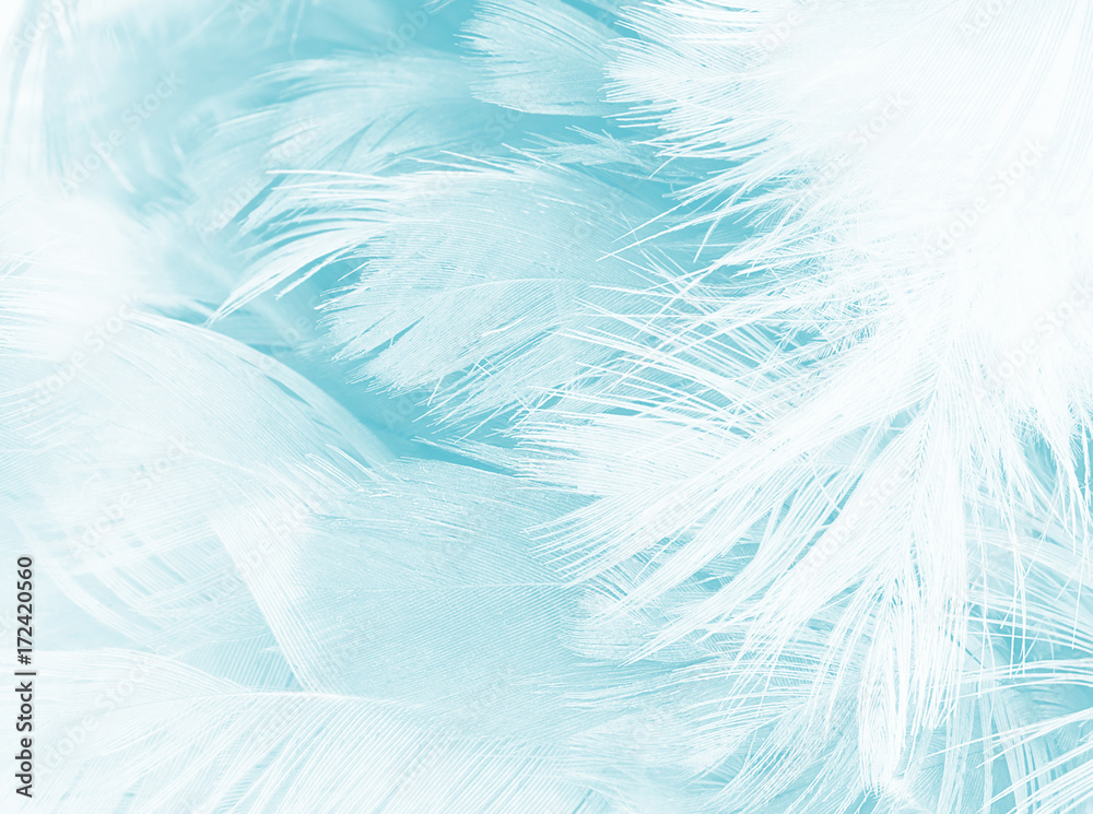 green turquoise vintage color trends chicken feather texture background 