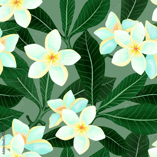 Seamless pattern with Frangipani Plumeria flowers