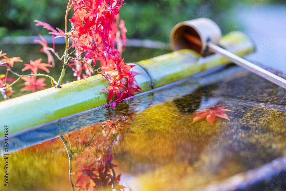 Fototapeta premium Kioto Jesienny krajobraz Butelka wody i jesienne liście Część 2 Kioto Jesienny krajobraz nr 3