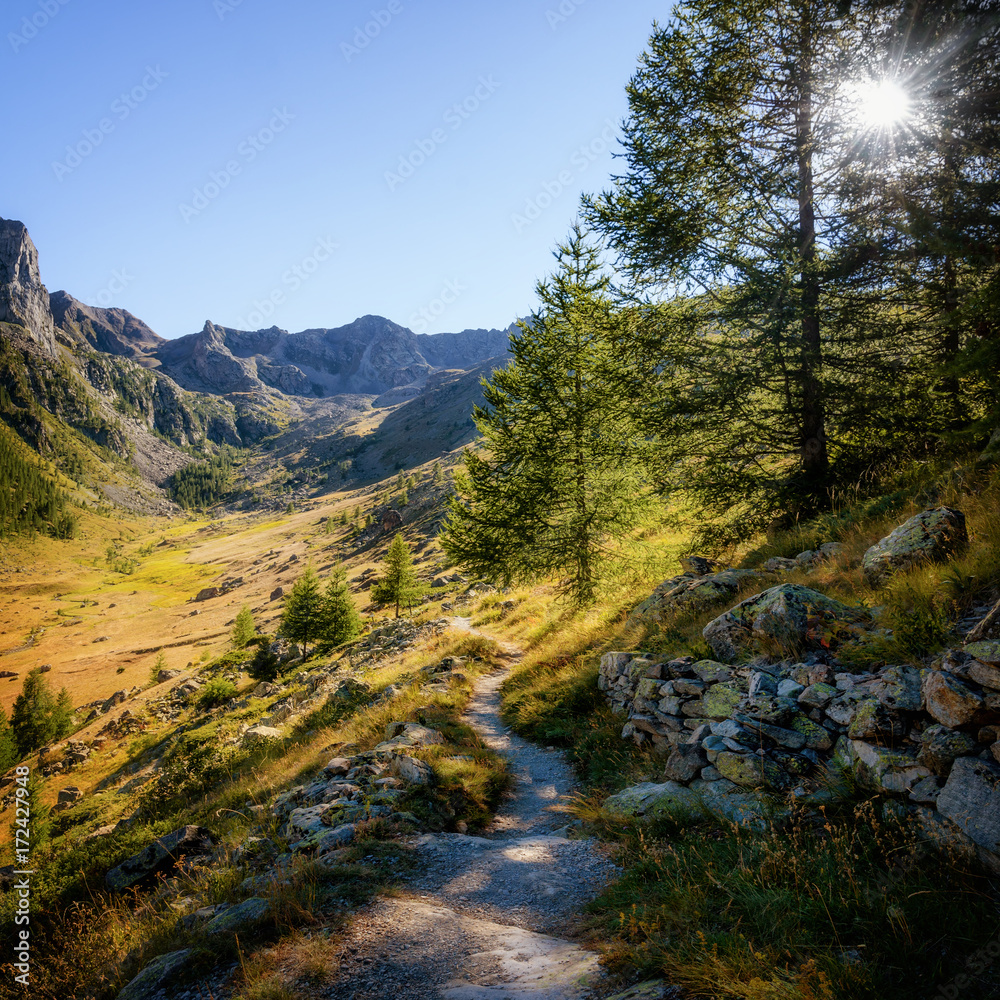 Mountain path in the park of Mercantour (France) to che Col du Fer and Lakes of Vens, at sunset with the sun between the trees Mountain path in the park of Mercantour (France) to che Col du Fer and Lakes of Vens, at sunset with the sun between the trees