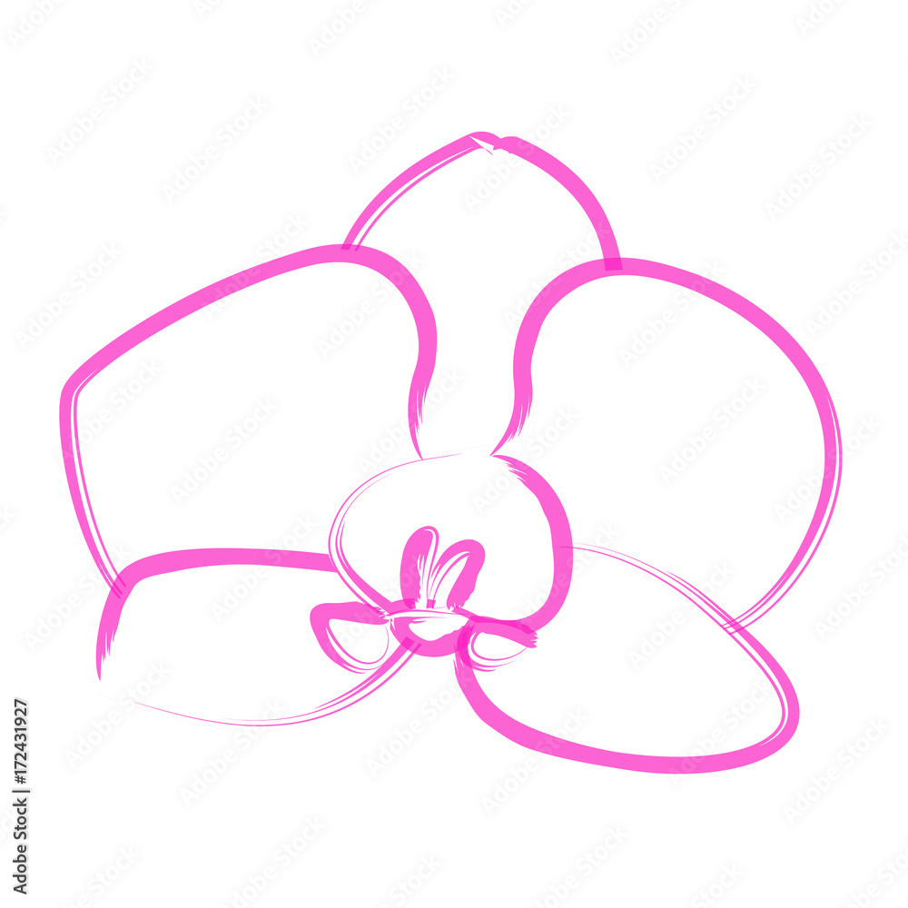 Isolated flower outline on a white background, Vector illustration Isolated flower outline on a white background, Vector illustration