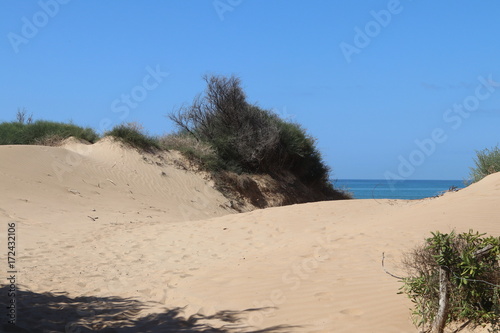Le dune ed il mare