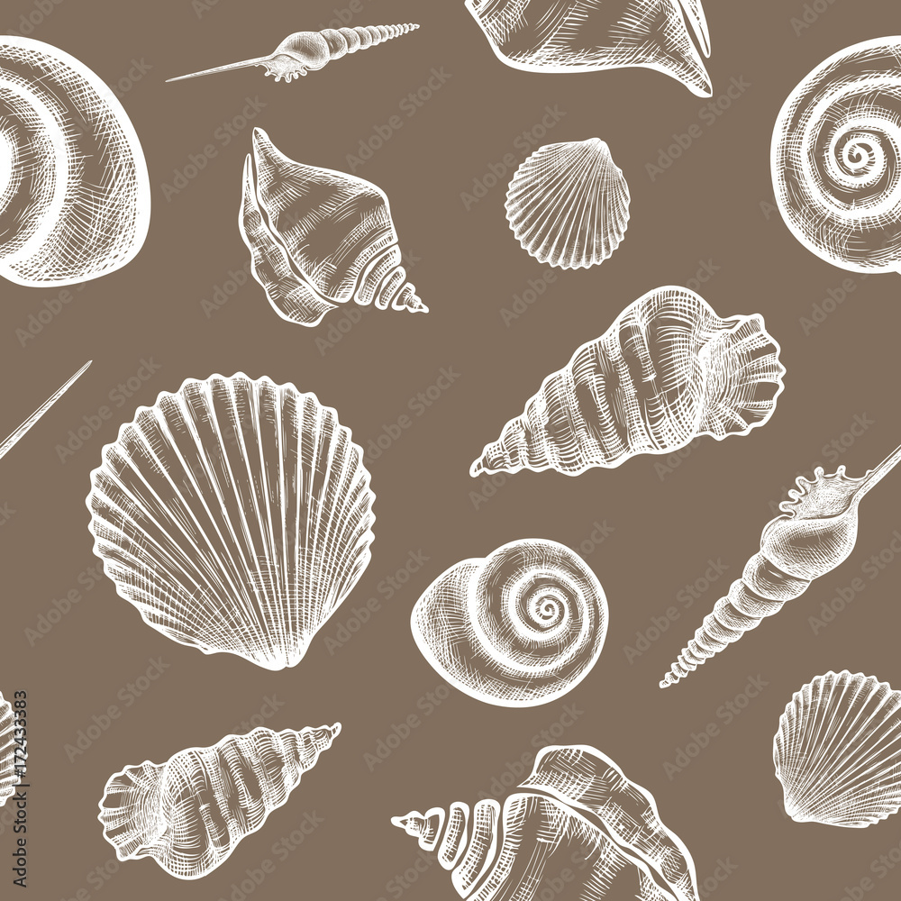 shells_pattern-02 shells_pattern-02