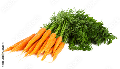 Carrot on white background