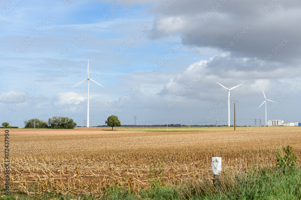 Renewable energy Renewable energy