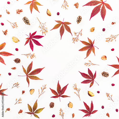 Round frame made of autumn leaves and dried flowers on white background. Flat lay, top view. Autumn concept