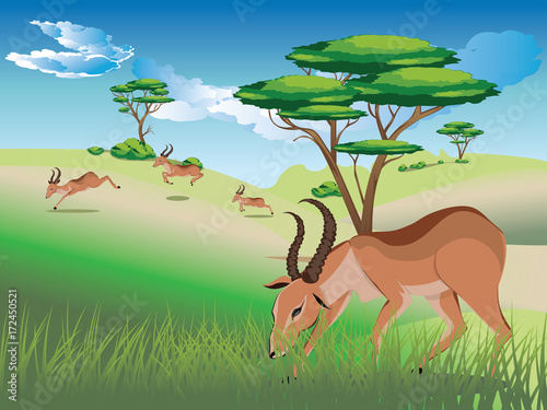 Landscape with Antelopes