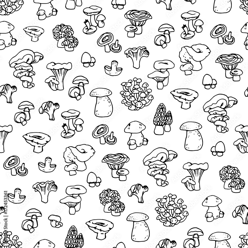 Mushroom hand drawn vector seamlees pattern. Isolated Sketch organic food drawing background. Champignon, morel, enokitake, porcini, oyster, honey agaric, chanterelle, fungi, russula.