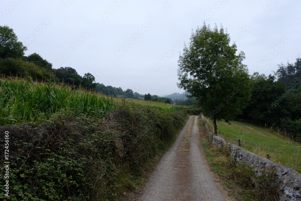 Obraz premium The oldest Camino de Santiago in Spain the 
