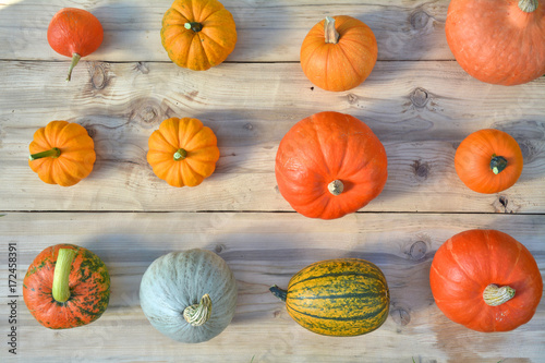 Pumpkins and squashes on wooden board
