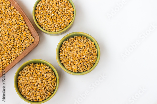 Wheat grain in green box on a white background