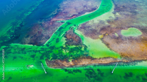 Fototapeta Naklejka Na Ścianę i Meble -  Colorful water, Atlantic Ocean and Gulf of Mexico, Florida Keys, USA. 