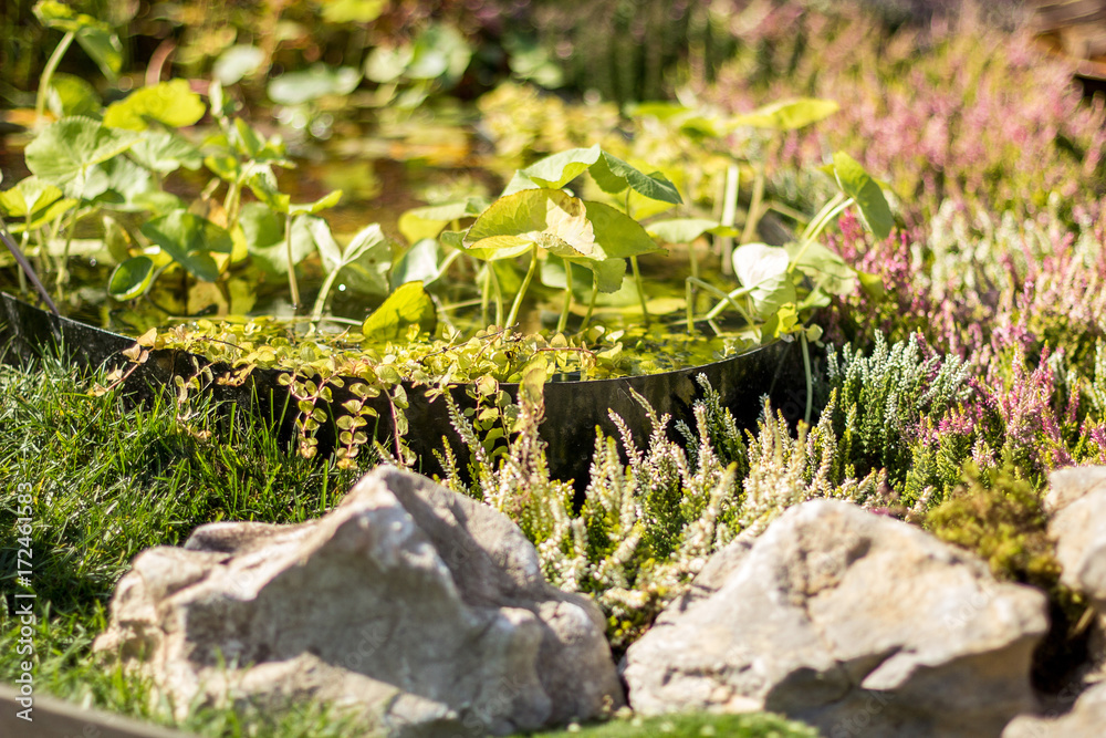 Decorative pond in the garden, close up. Decorative pond in the garden, close up.