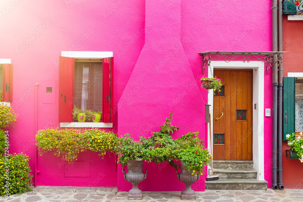 Pink house with flowers and plants. Colorful houses in Burano island near Venice, Italy.