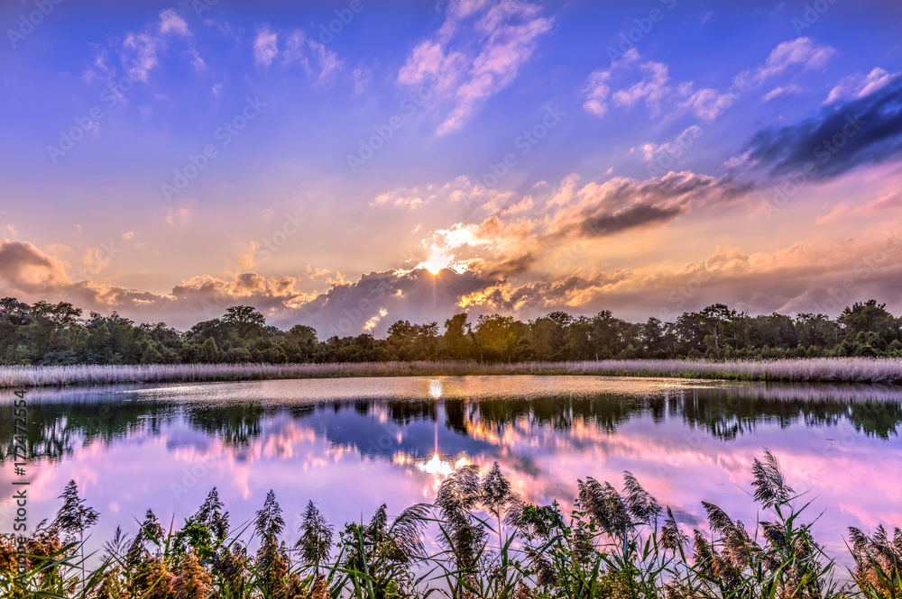 Fototapeta premium Gorgeous Sunset on a Chesapeake Bay Pond