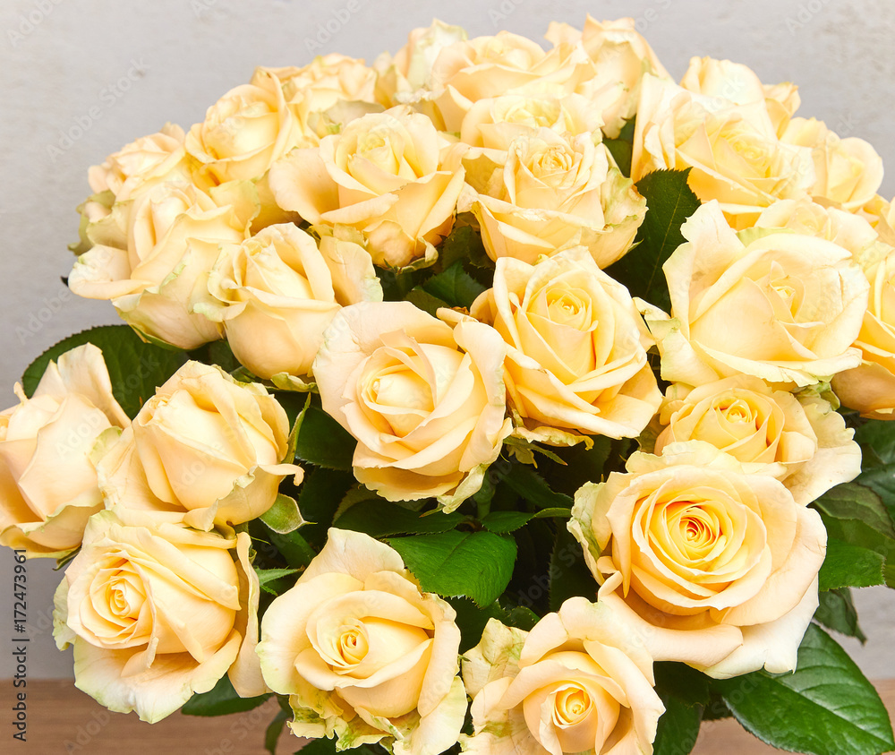 Obraz premium rose bouquet