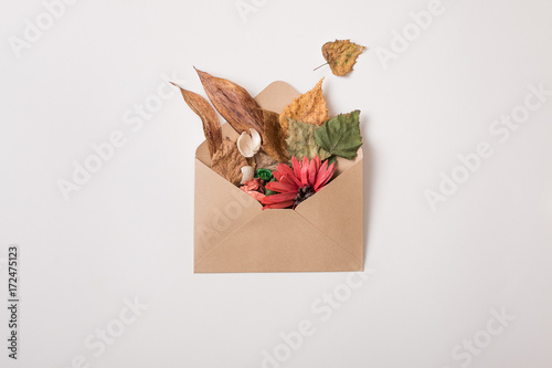 Autumn creative. Isolated envelope full of dried plants and leaves on white. Top view. Flat lay.