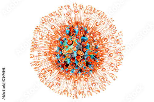 Herpes Virus	