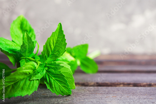Green fresh aroma basil on wooden background