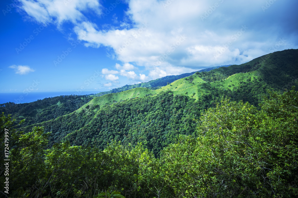 paysage tropical dans les îles du pacifique 