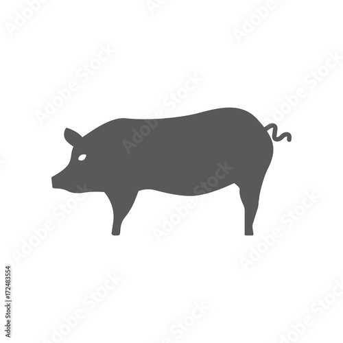 Pig icon. photo