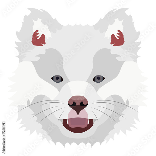 Illustration Dog Finnish Lapphund