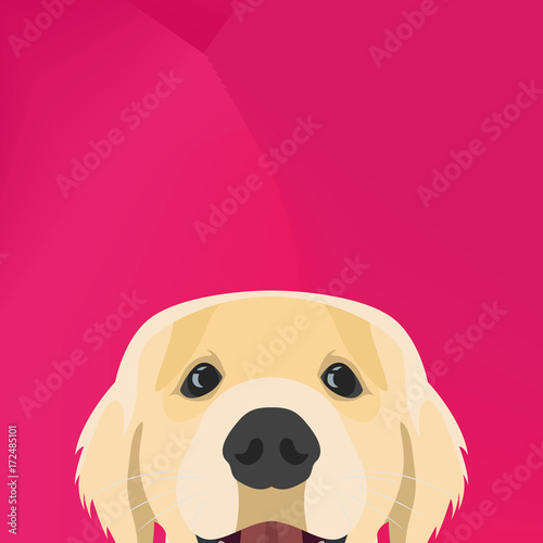 Illustration Dog Golden retriever looking over wall