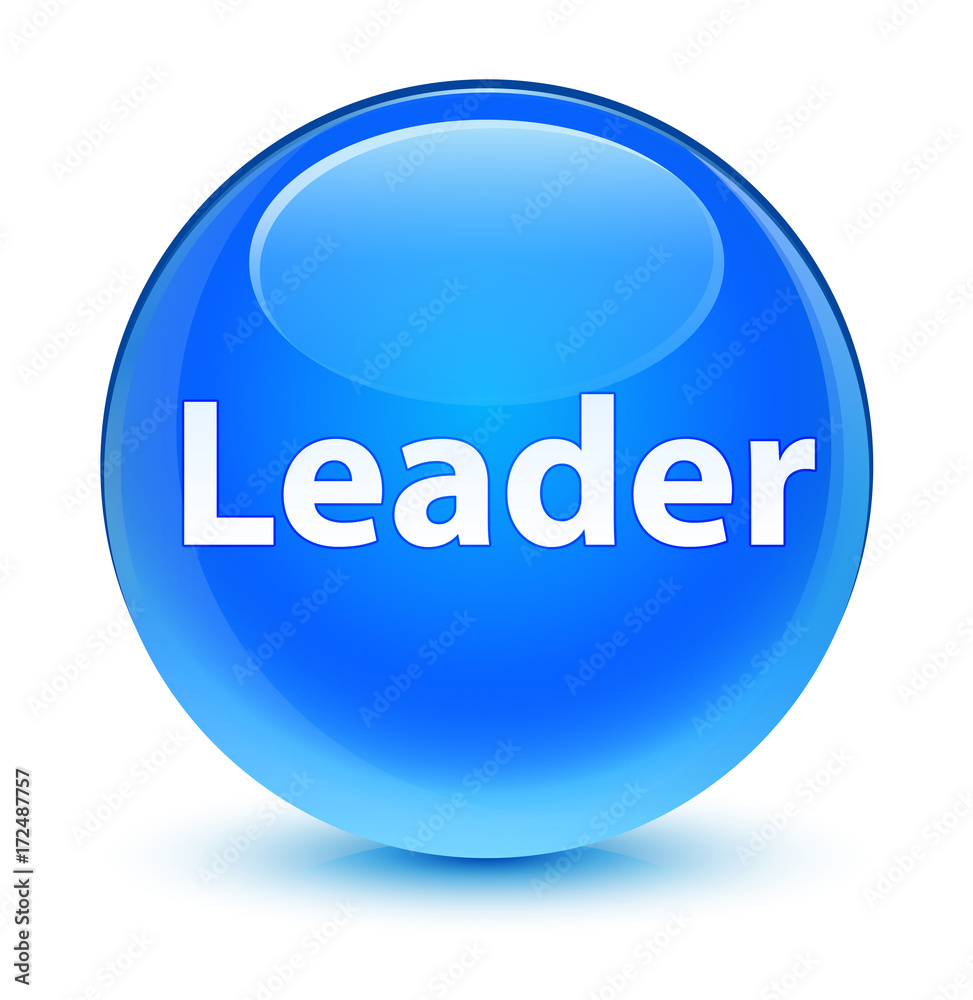 Leader glassy cyan blue round button Leader glassy cyan blue round button