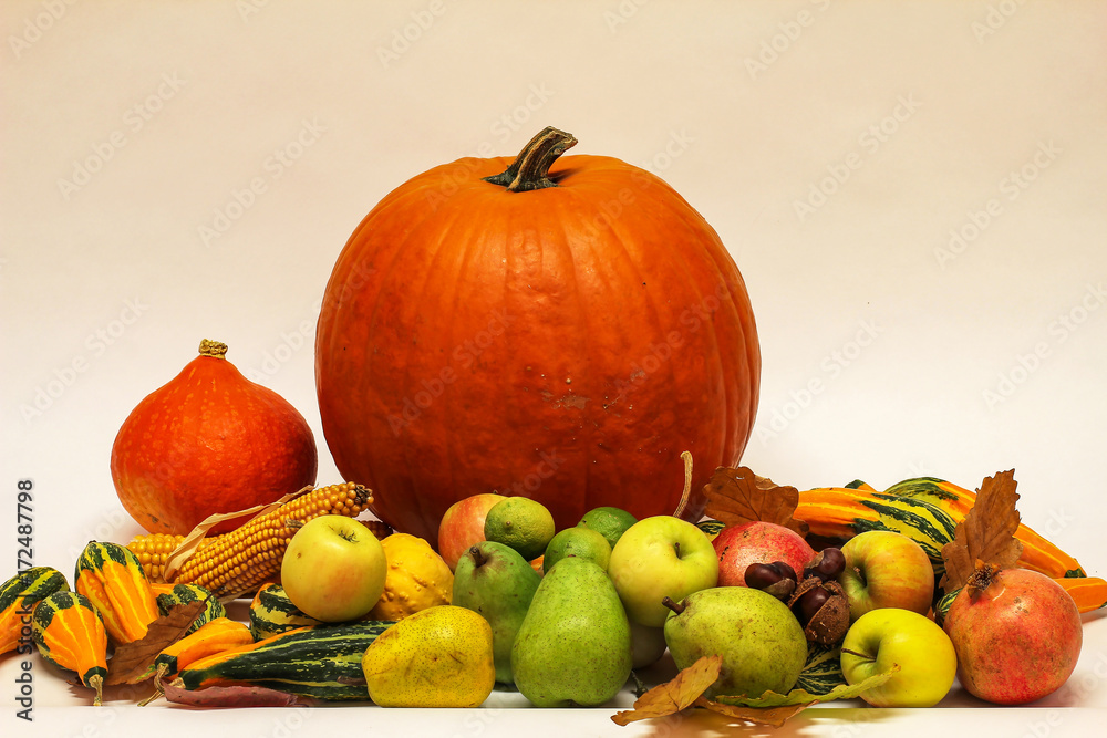 Autumn still life / Various vegetables on the table Autumn still life / Various vegetables on the table