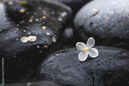 Black stones with a flower 6