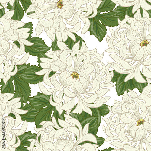 Seamless pattern with white chrysanthemum in Japanese style. Vec