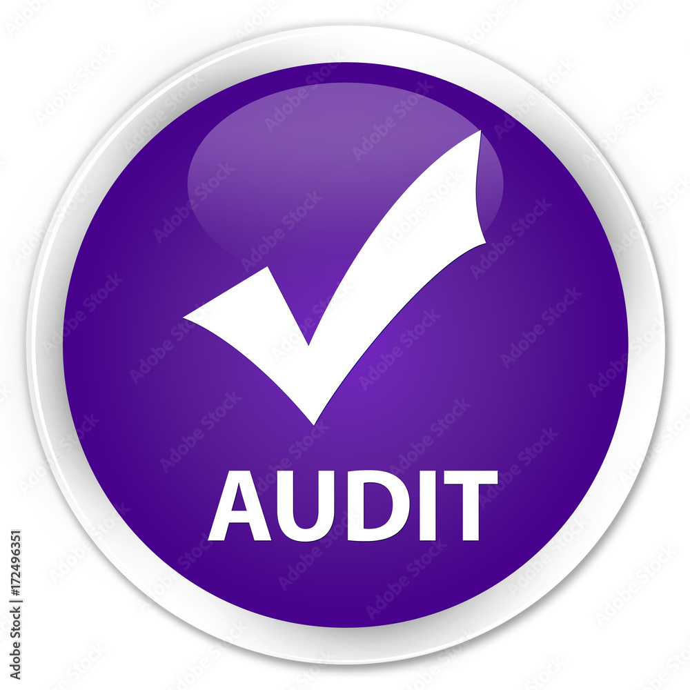 Audit (validate icon) premium purple round button Audit (validate icon) premium purple round button
