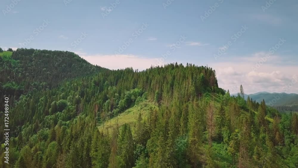 Aerial photography of the valley, mountains, pines, pine needles Aerial photography of the valley, mountains, pines, pine needles