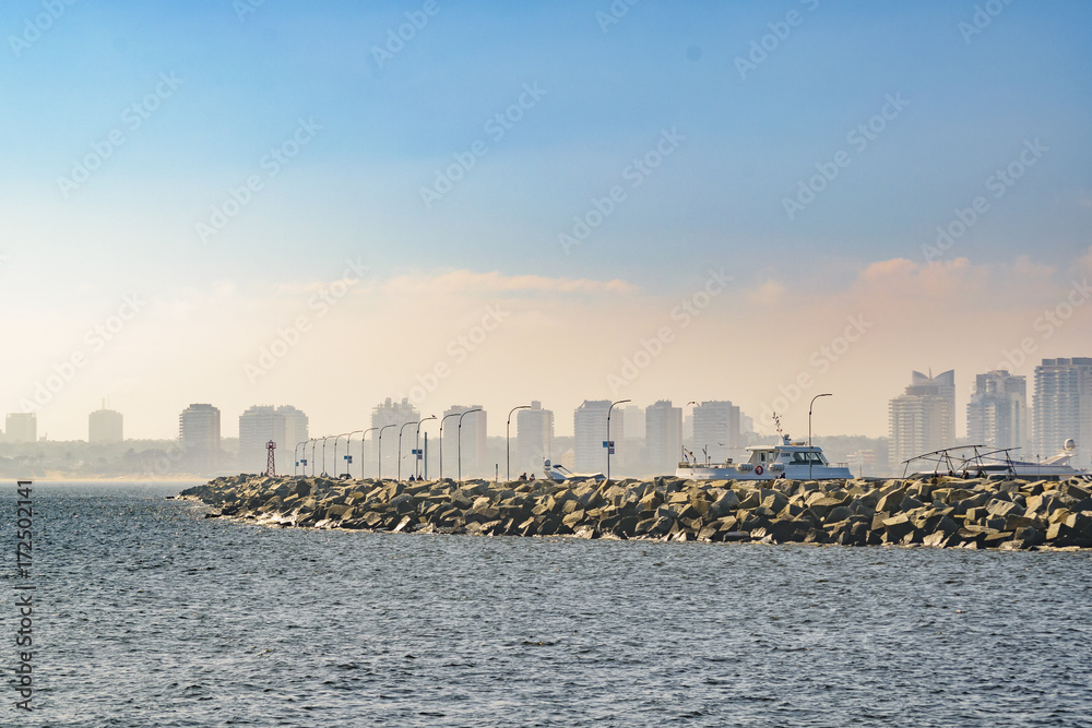 Obraz premium Punta del Este Cityscape