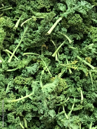 veggie