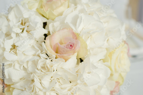 Lovely fresh roses vivid background. Closeup of bright decor texture beauty